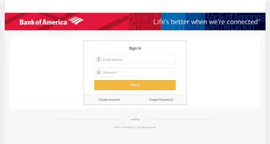 Bank of America Job Application & Careers