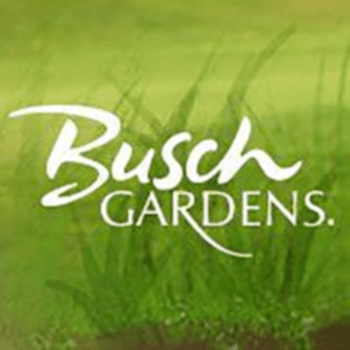 Busch Gardens Job Application Apply Online