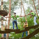 A group of colleagues on a team building high ropes course in a forest.