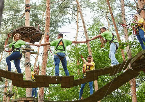 group-climbing-in-high-ropes-course-as-team-building-activity-in-forest