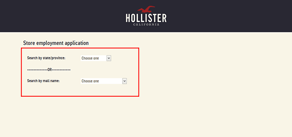 hollister-web-3