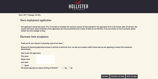 hollister-web-6