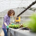 A woman working with plants in a large greenhouse.