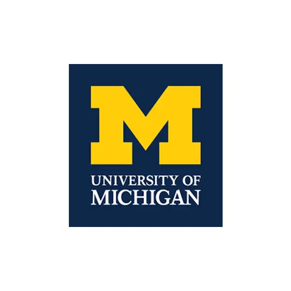 Michigan state application essay online